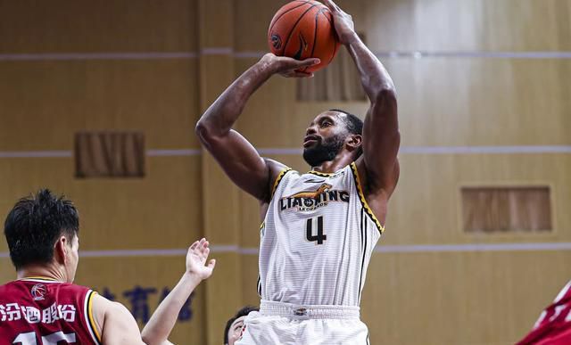 宠物搞笑视频