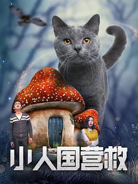 三天恋爱