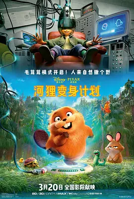 打腹肌