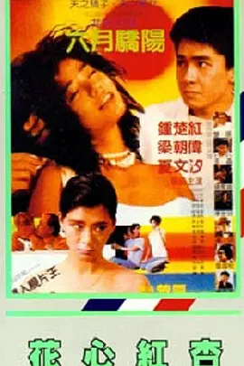 伦理片午夜视频在线观看免费