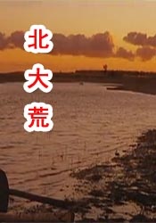 破格性的正史