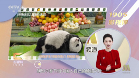 91精品小视频